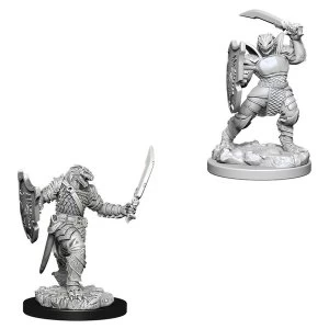 Image of D&D Nolzur's Marvelous Unpainted Miniatures (W5) Dragonborn Female Paladin