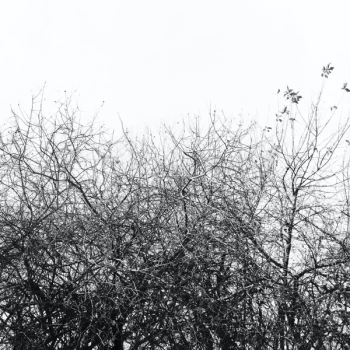 Image of Simon Joyner - Lost With The Lights On Vinyl