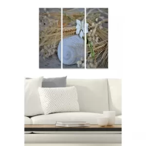 Image of MDF2450686 Multicolor Decorative MDF Painting (3 Pieces)