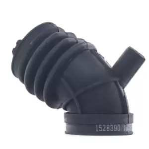 Image of RIDEX Intake Pipe, air filter 1591I0059 BMW,3 Limousine (E46),3 Touring (E46),3 Coupe (E46),3 Cabrio (E46)