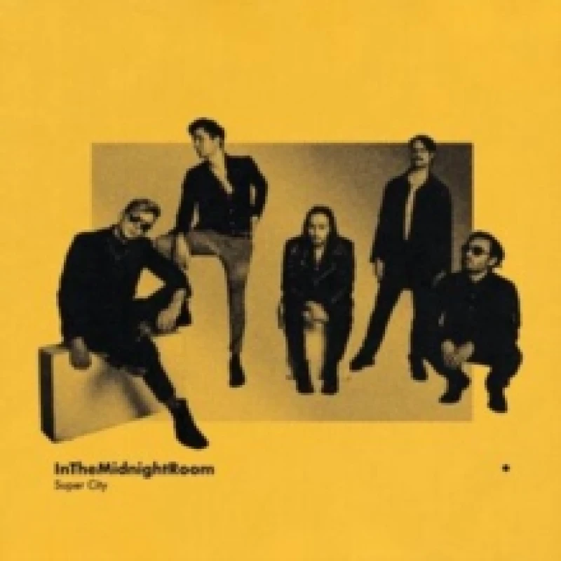 Image of In the midnight room CD / Album