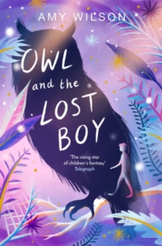 Image of Amy Wilson Owl and the Lost Boy Book Multi unisex