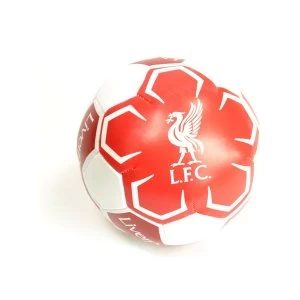 Image of Liverpool Mini 4" Soft Ball