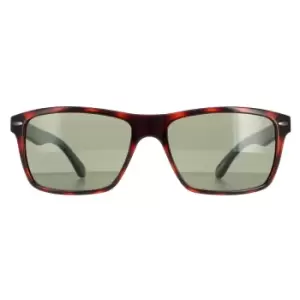 Image of Ted Baker Rectangle Tortoiseshell Green TB1409 Rhett