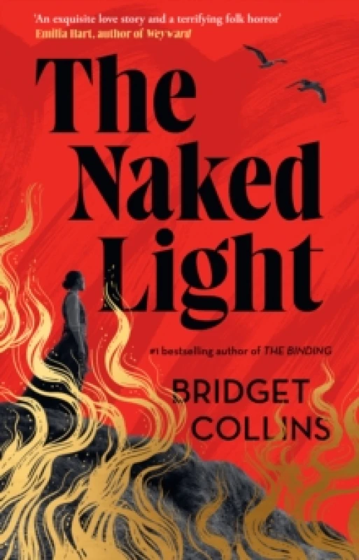 Image of The Naked Light Hardback