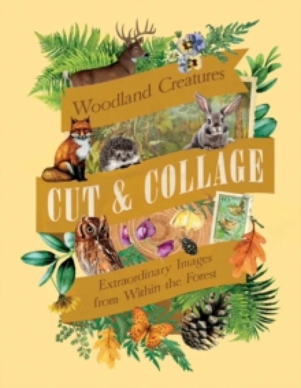 Image of Cut & Collage Woodland Creatures : Extraordinary Images from Within the Forest Paperback / softback