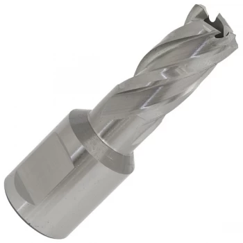 Image of Worksafe RBHSS12S Rotabor Cutter HSS Ø12mm - Cut Depth 25mm