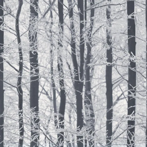 Image of Frosted Wood Wallpaper