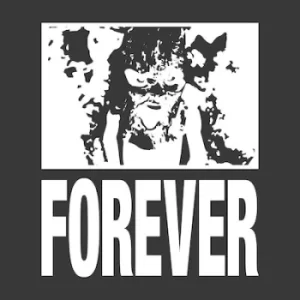 Image of Coarse by Forever Vinyl Album