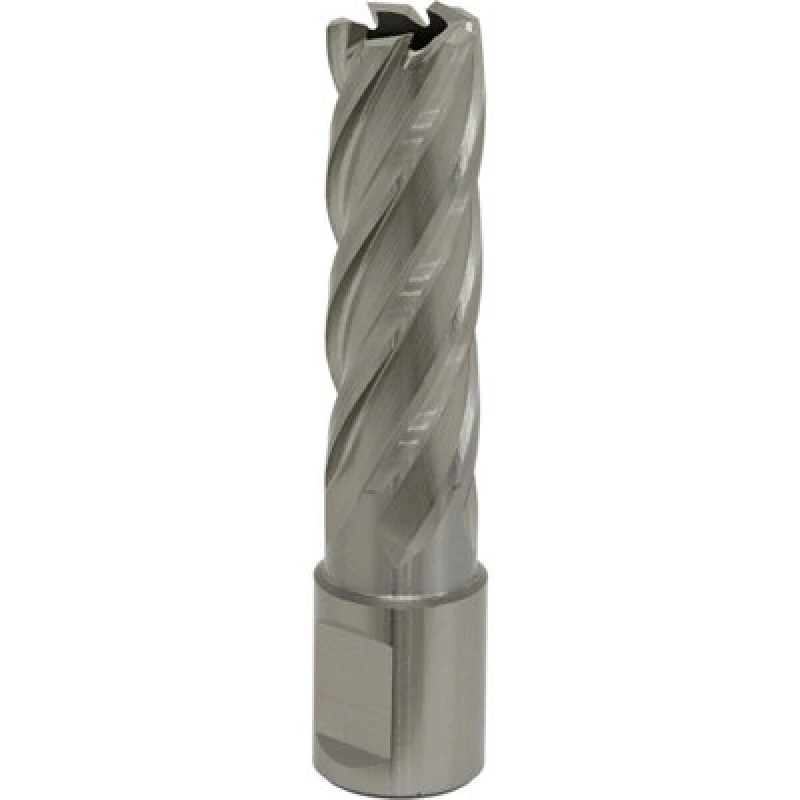 Image of Loops 17mm x 50mm Depth Rotabor Cutter - M2 Steel Annular Metal Core Drill 19mm Shank Metallics