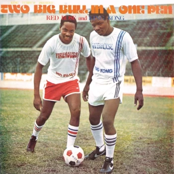 Image of Various Artists - Two Big Bull in a One Pen CD