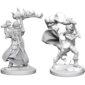 Image of Pathfinder Deep Cuts Unpainted Miniatures (W1) Human Female Cleric