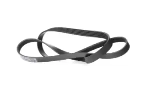 Image of Bosch V-ribbed belt OPEL,MINI,CHEVROLET 1 987 945 711 55578811,11288511919,11288573417 1340053,55578811,55583125,1340053,55578811,55583125