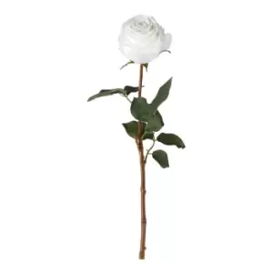 Image of Gallery Interiors Aldona Rose Stem White / Medium Set of 12