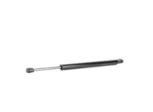 Image of RIDEX Tailgate strut CHRYSLER 219G0826 04589626AA