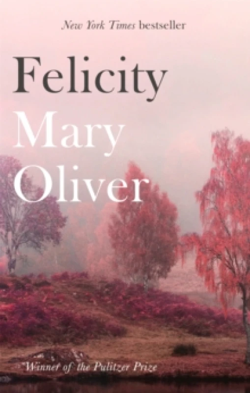 Image of Felicity Paperback / softback
