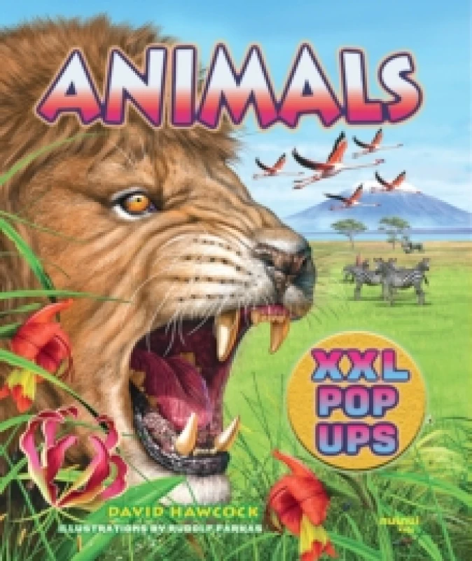 Image of Animals XXL pop-ups Hardback