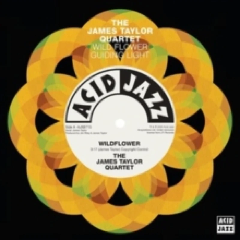 Image of Wildflower/Guiding Light Vinyl