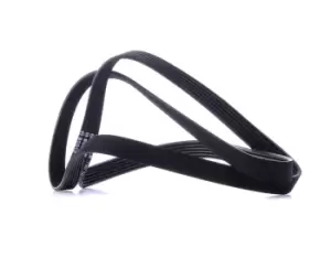 Image of Bosch V-ribbed belt BMW,OPEL,FORD 1 987 946 019 078903137AN,180853,6180852 6180853,6758562,6880852,7120853,91SF6C301A1A,91SF6C301A2A,1340050,55571050