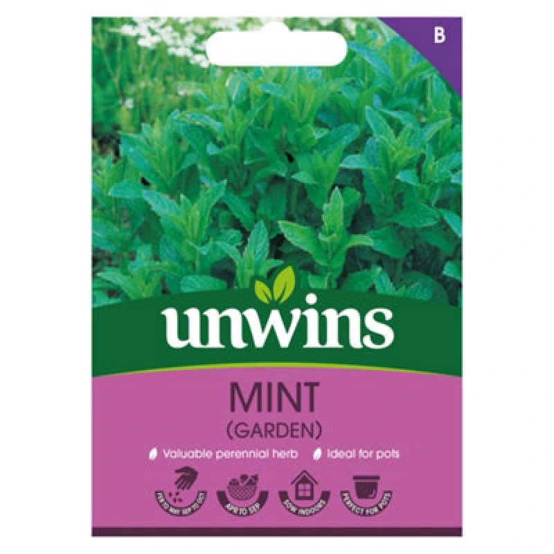 Image of Unwins Herb Mint (Garden)