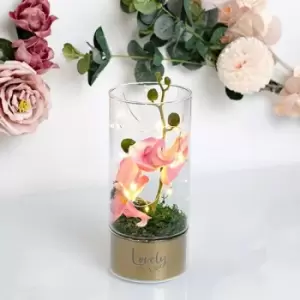 Image of Peaches & Cream Tube Orchid Flowers LED Light - Nan