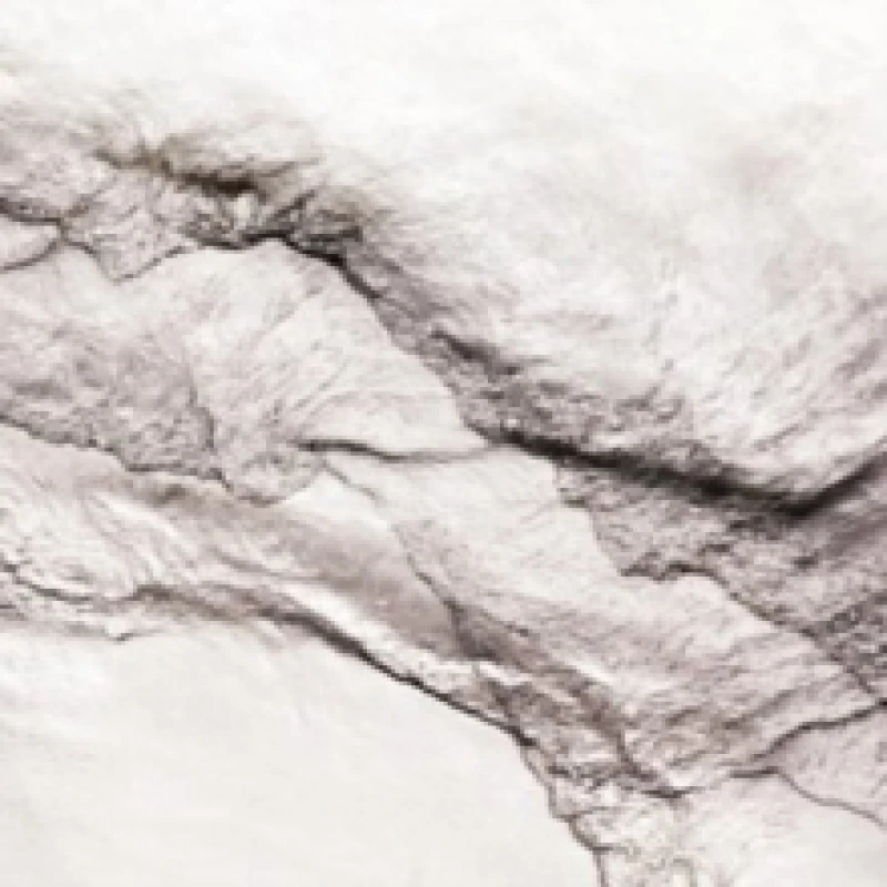 Image of The Houseboat and the Moon Vinyl