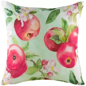 Image of Fruit Apples Printed Cushion Multicolour