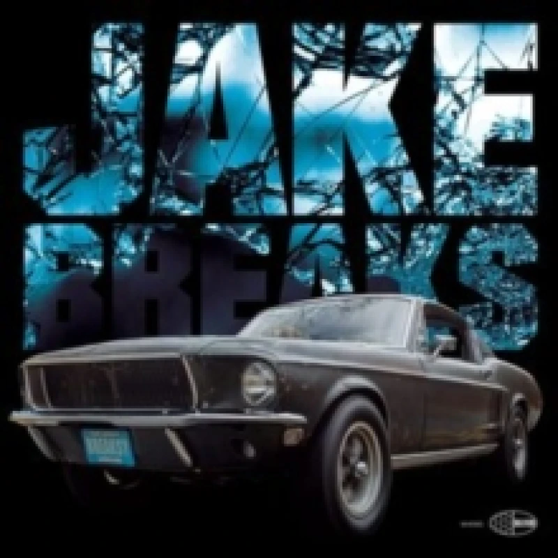 Image of Breaksy Vinyl