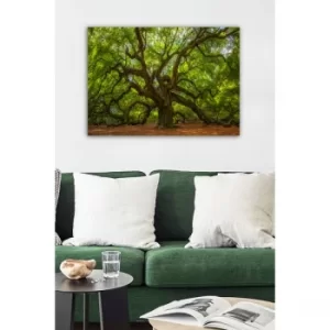 Image of 553671223-5070 Multicolor Decorative Canvas Painting