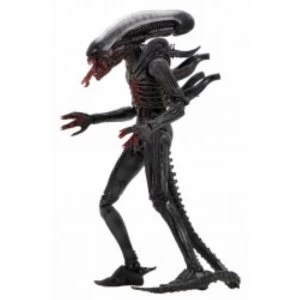 Image of Bloody Xenomorph (Alien 40th Anniversary) Neca Action Figure
