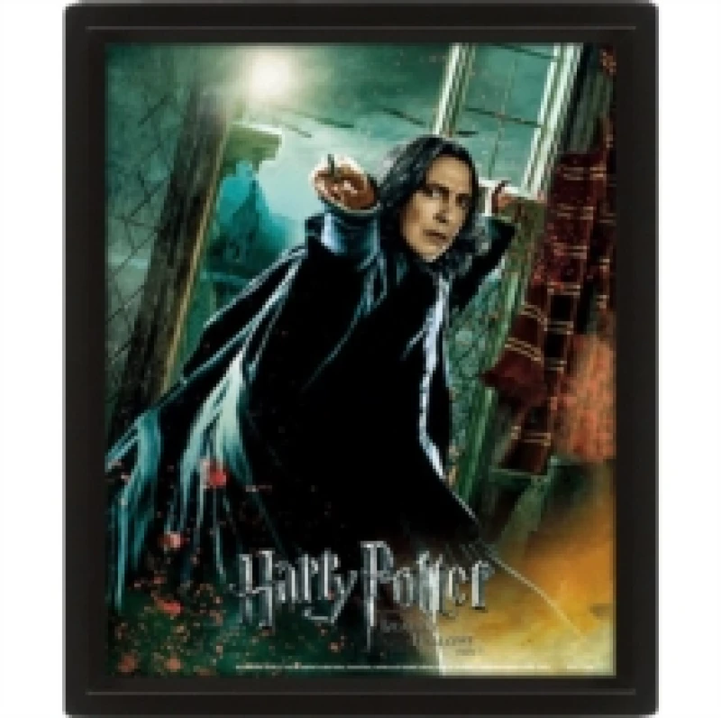 Image of Harry Potter (Deathly Hallows Snape) - Framed General merchandise