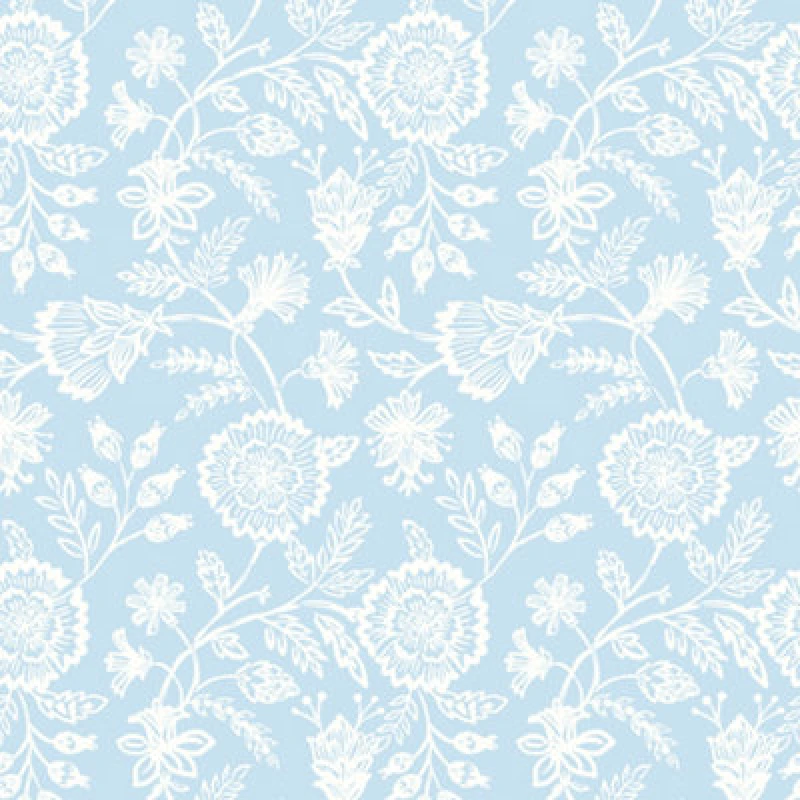 Image of Hoopla Walls Evelyn Trail - Sky 10M Wallpaper