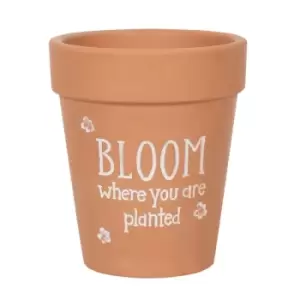 Image of Bloom Where You Are Planted Terracotta Plant Pot