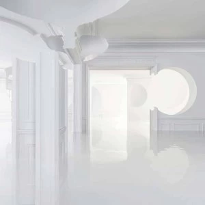 Image of Mr. Mitch - Devout Vinyl