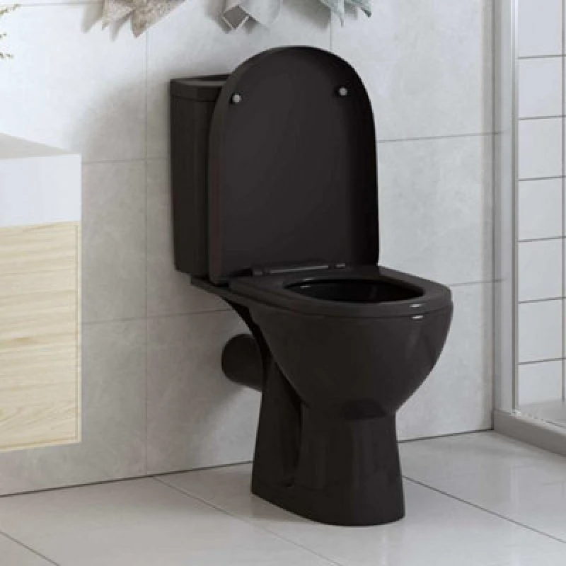Image of VIDAXL Vidaxl - Soft-close Toilet Seat with Quick-release Design Black 8719883596235
