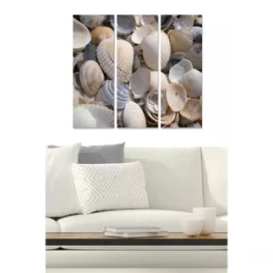 Image of MDF2123716 Multicolor Decorative MDF Painting (3 Pieces)