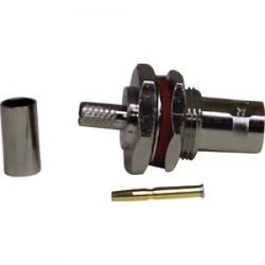 Image of BNC connector Socket vertical vertical 50 1 p