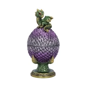Image of Egg Guardian Dragon Egg Box