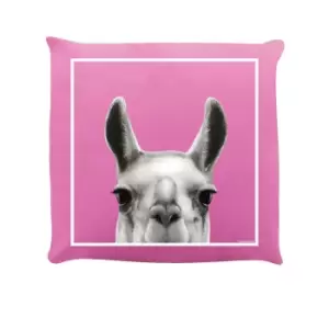 Image of Inquisitive Creatures Llama Filled Cushion (One Size) (Pink)
