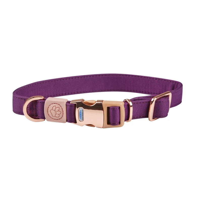 Image of Weatherbeeta Elegance Dog Collar - Purple Purple XS