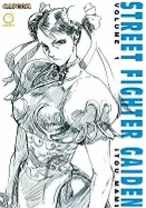Image of street fighter gaiden volume 1