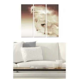 Image of MDF2663379 Multicolor Decorative MDF Painting (3 Pieces)