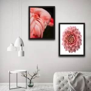 Image of Pink Flamingo Flower Set Multicolor Decorative Framed Painting (2 Pieces)