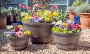 Image of Wooden Barrel-Effect Planter: One/Small