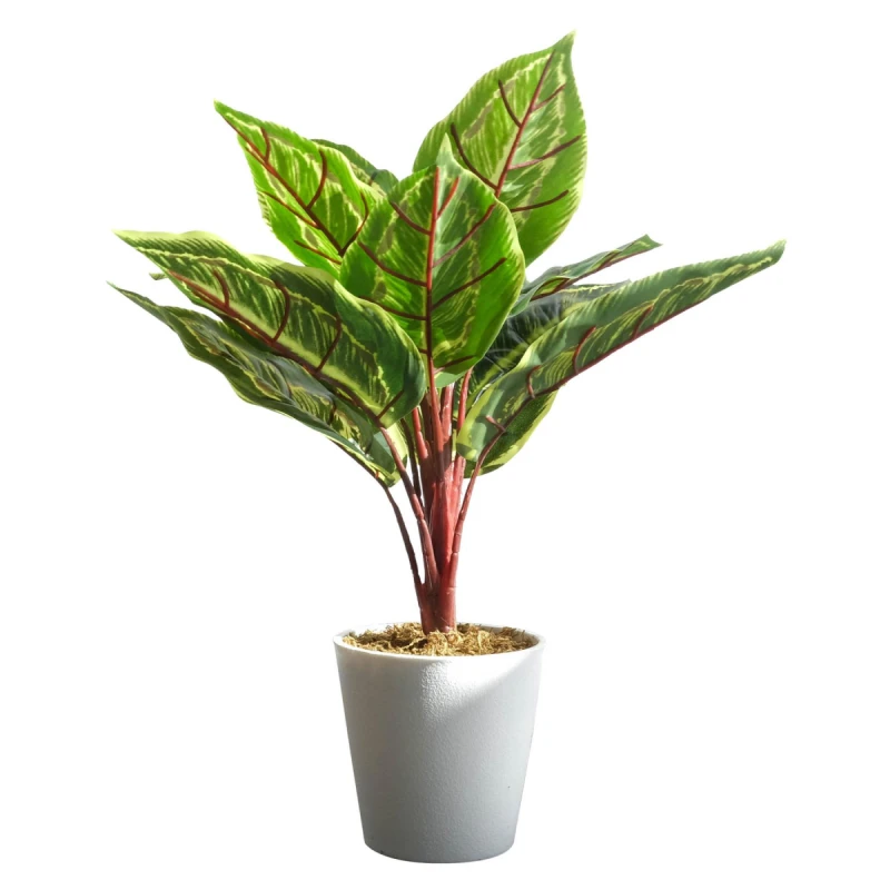 Image of N/A 38cm Potted Artificial Calathea Veitchiane