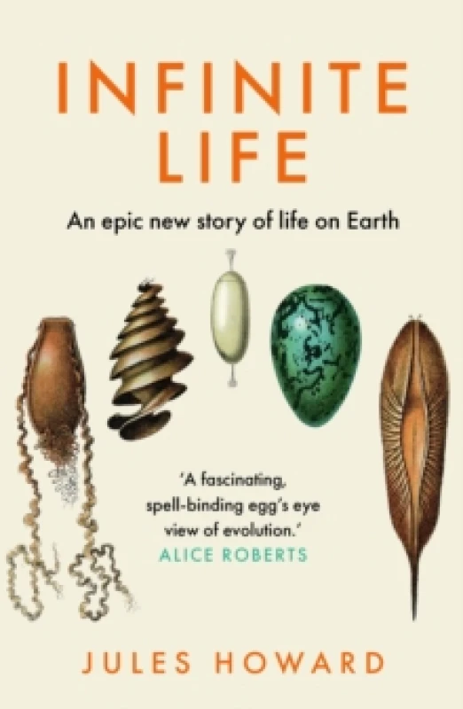 Image of Infinite Life : An Epic New Story of Life On Earth Paperback / softback