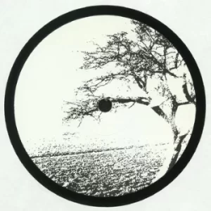 Image of Open Door by Losoul Vinyl Album