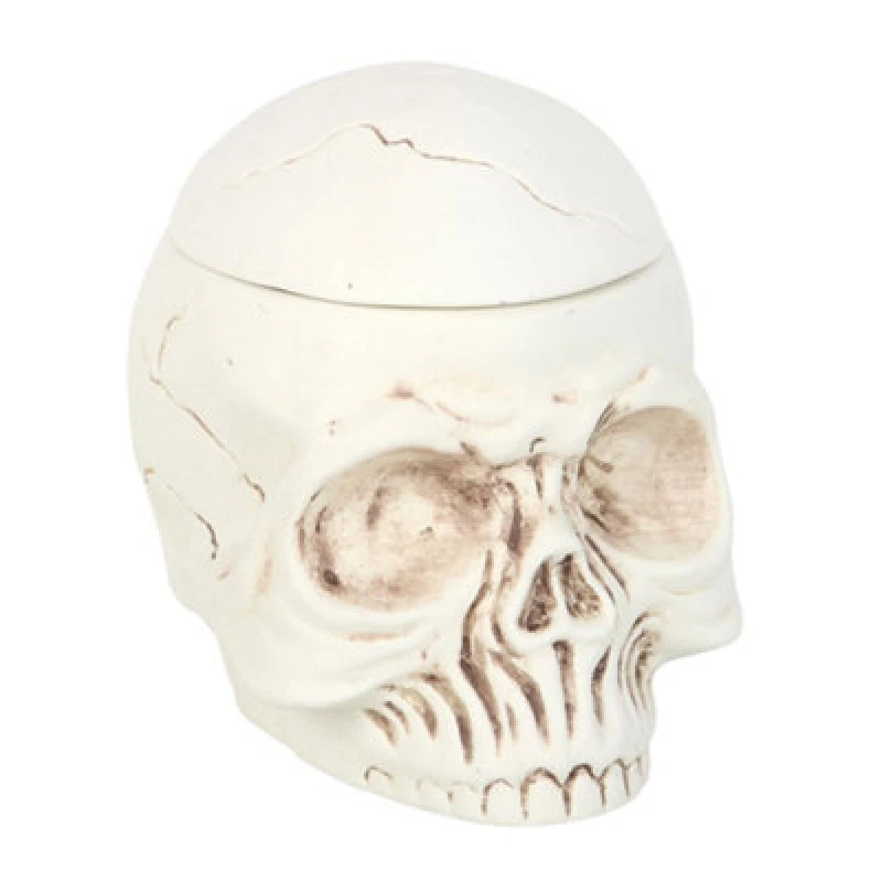Image of Something Different Something Different Weathered Skull Oil Burner Set in White White One Size Unisex 5063750807157