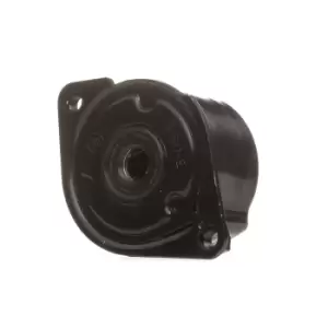 Image of SKF Tensioner Pulley VKM 38304 Tensioner Pulley, v-ribbed belt BMW,3 Touring (E91),3 Limousine (E46),3 Limousine (E90),5 Limousine (E60)