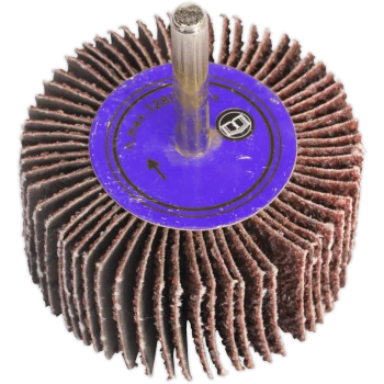 Image of Sealey Flap Wheel 40mm 20mm 60g